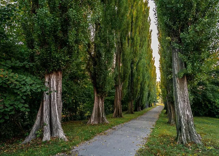 U Jirika Lägenhet Poděbrady